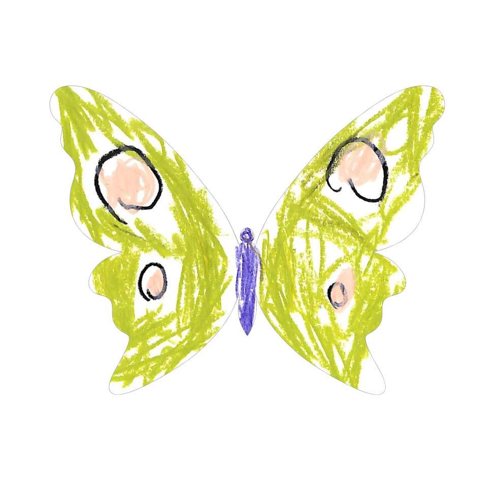 Original Butterfly Image