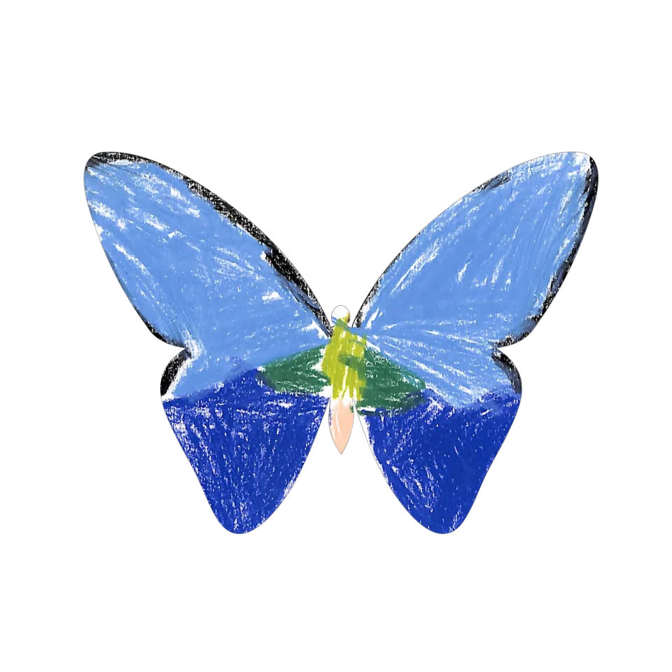 Original Butterfly Image