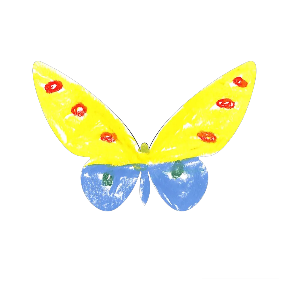 Original Butterfly Image