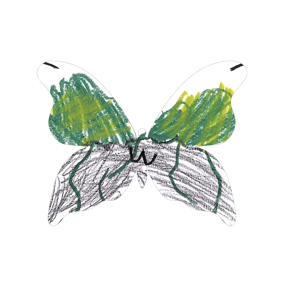 Original Butterfly Image