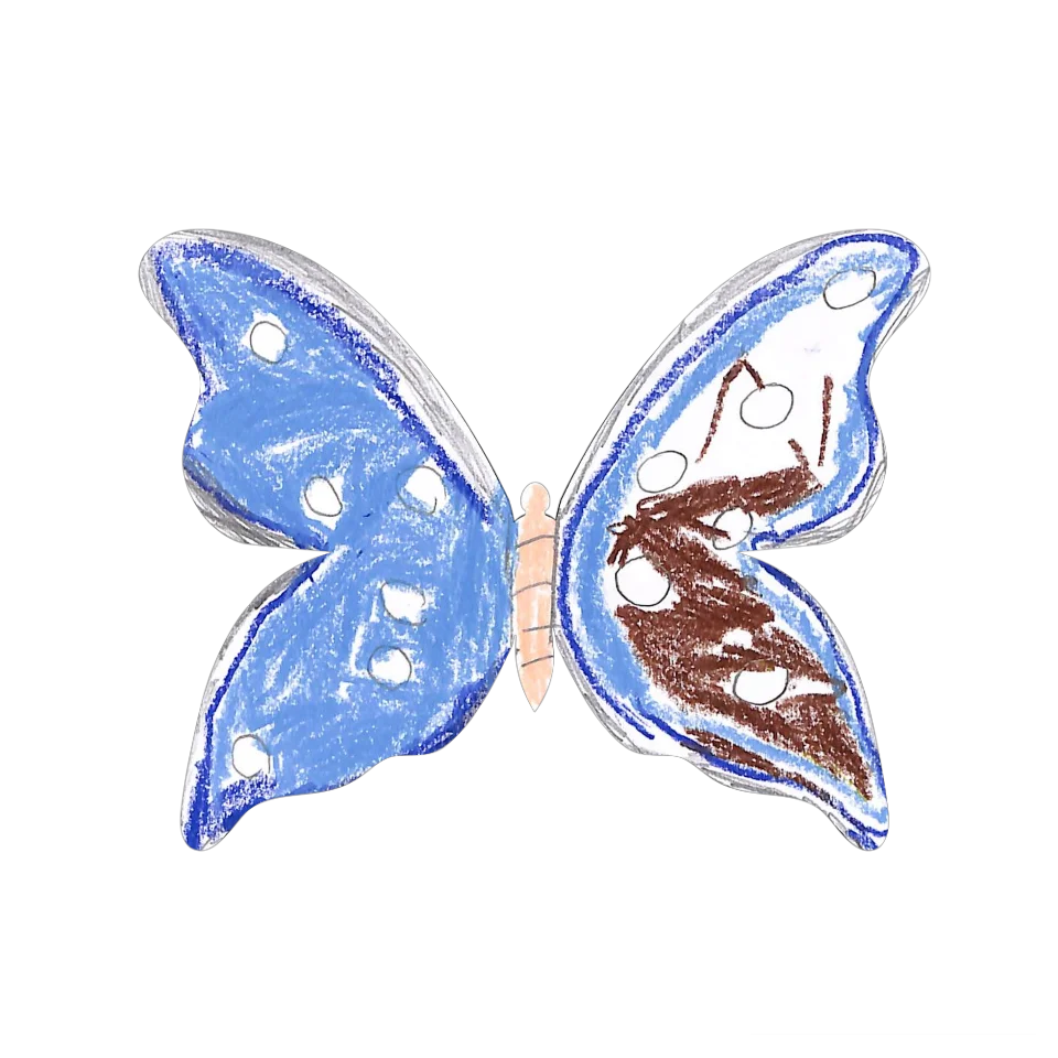 Original Butterfly Image