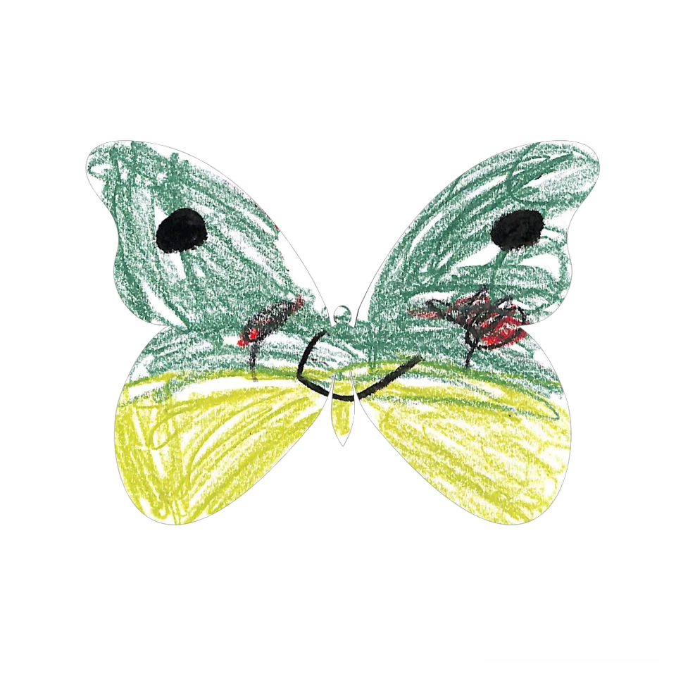 Original Butterfly Image