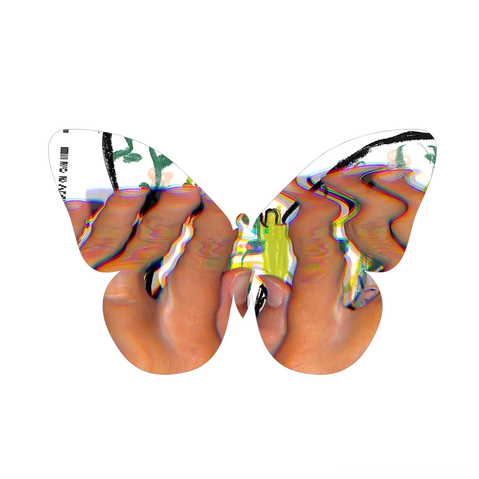 Original Butterfly Image