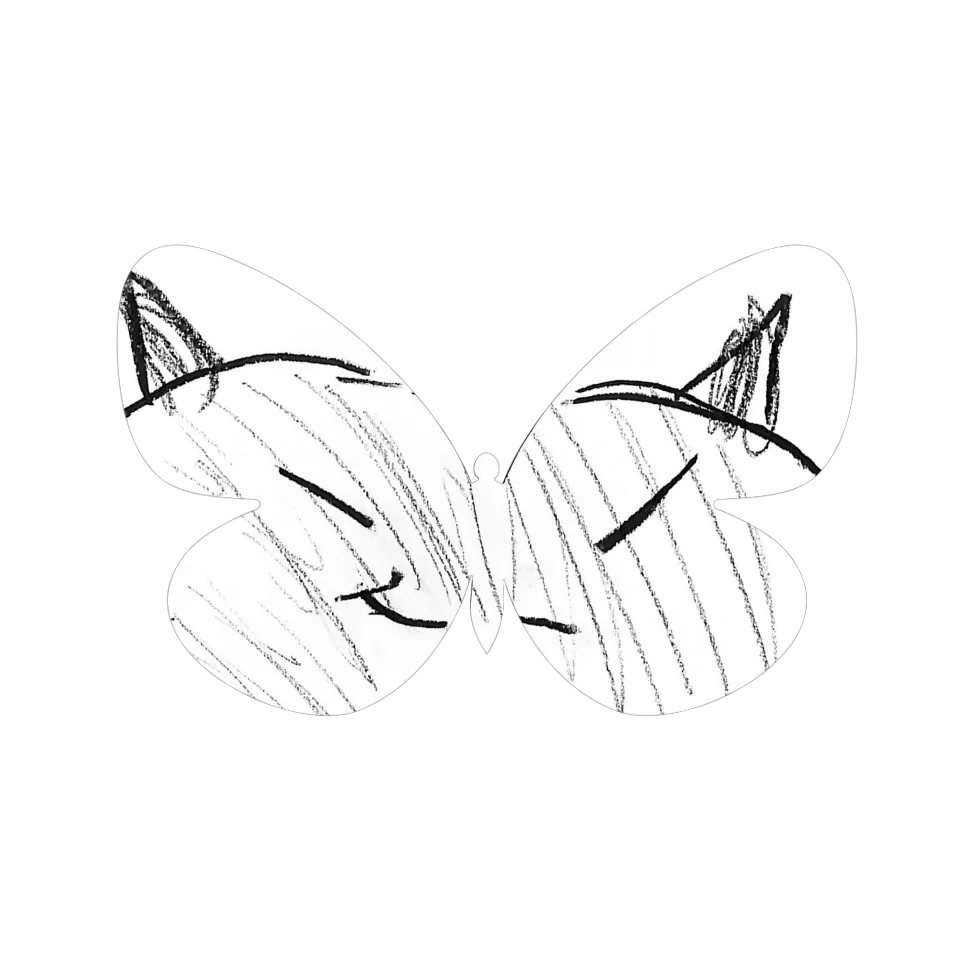 Original Butterfly Image