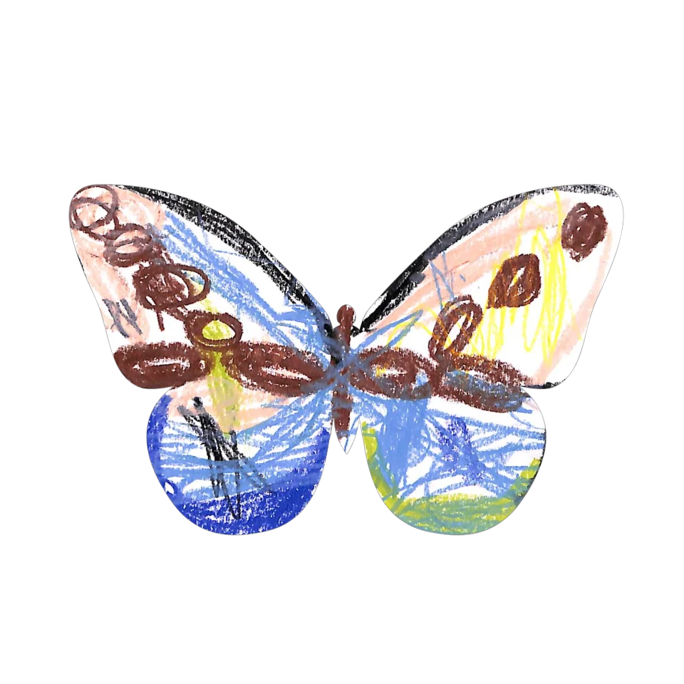 Original Butterfly Image