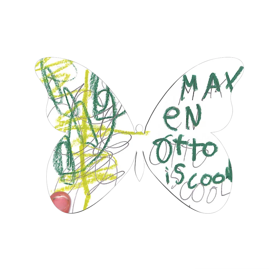 Original Butterfly Image