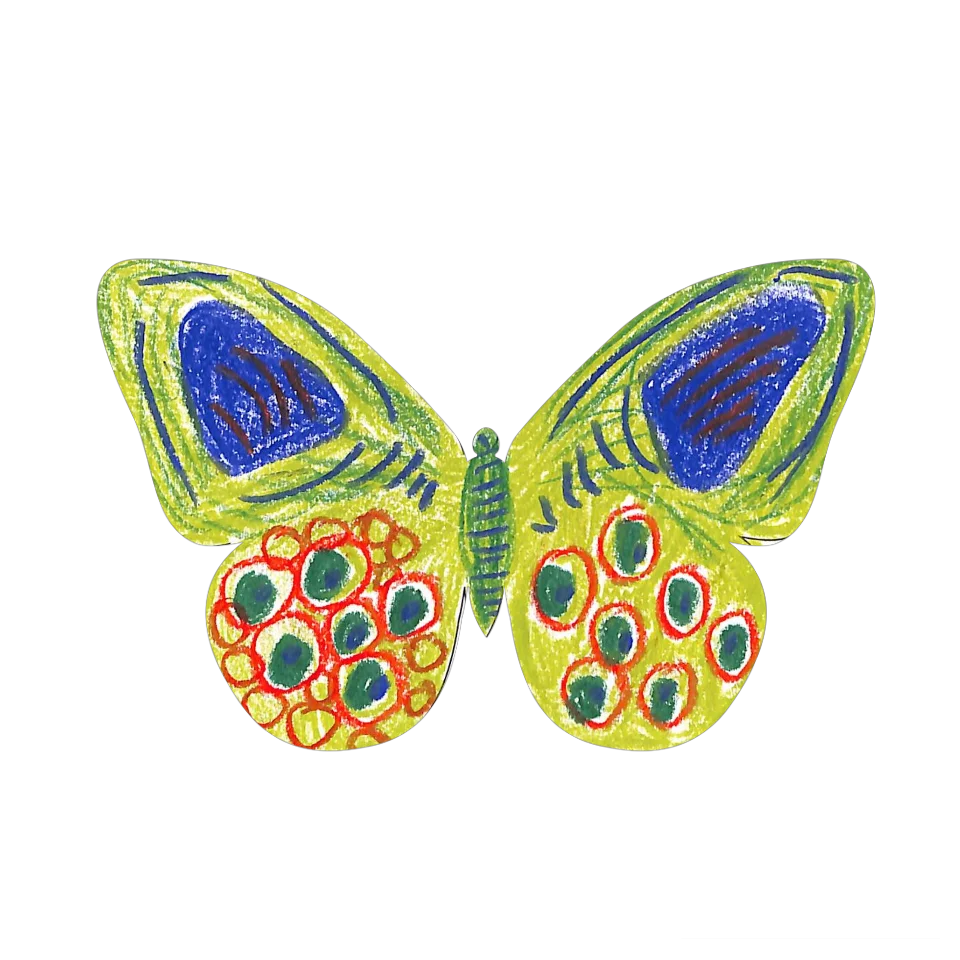 Original Butterfly Image