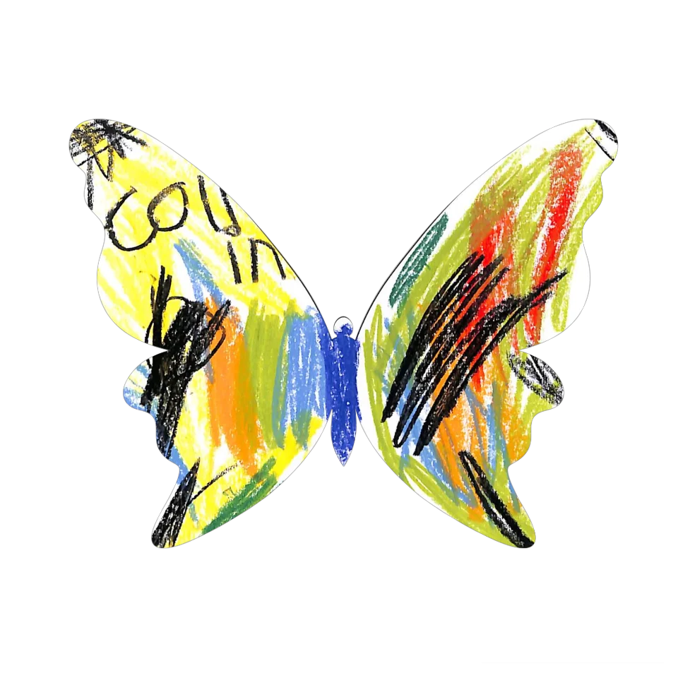 Original Butterfly Image