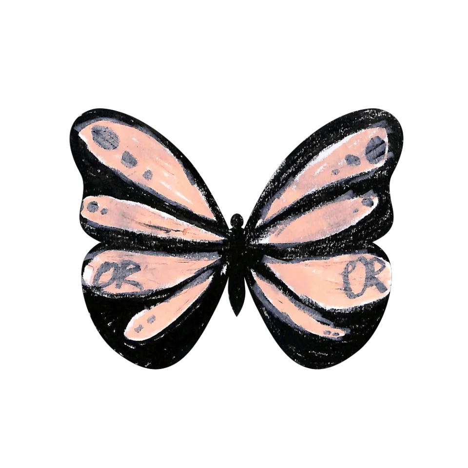 Original Butterfly Image