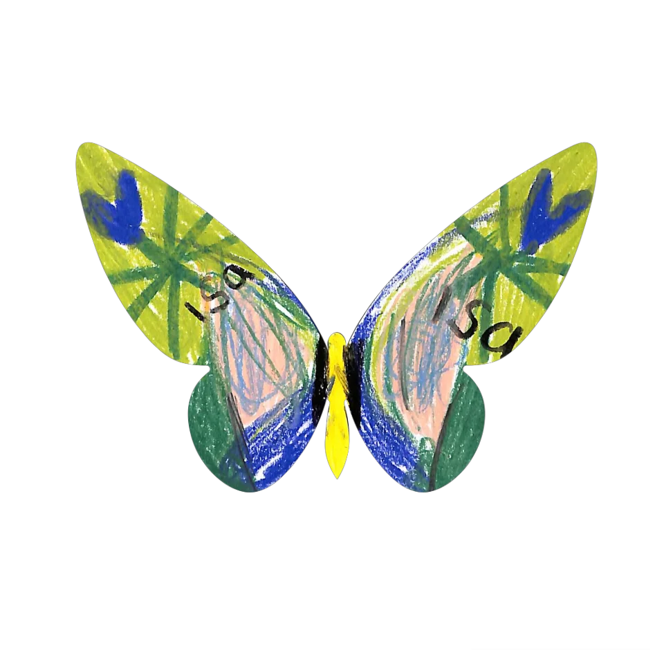 Original Butterfly Image