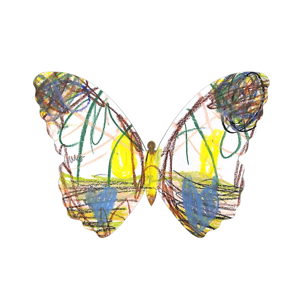 Original Butterfly Image