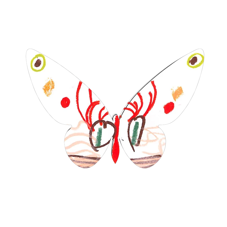 Original Butterfly Image