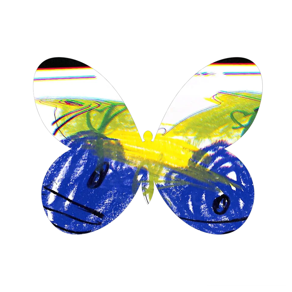 Original Butterfly Image