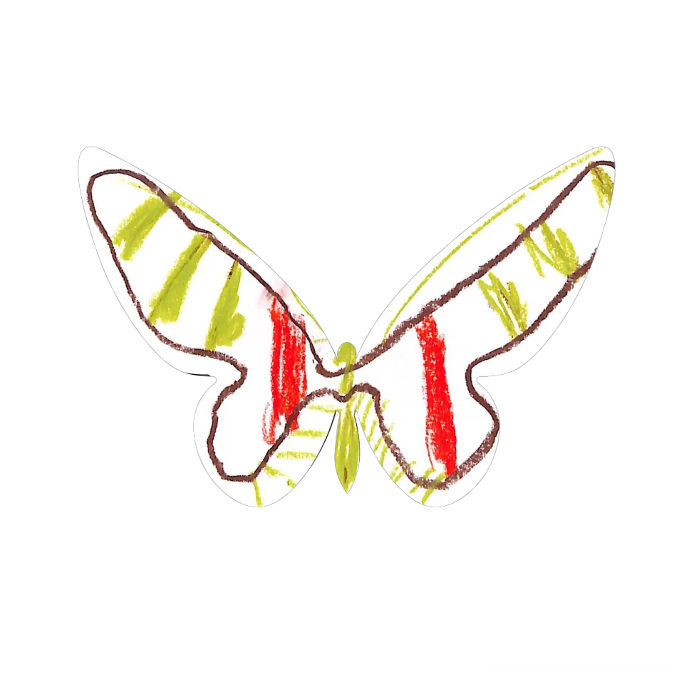 Original Butterfly Image