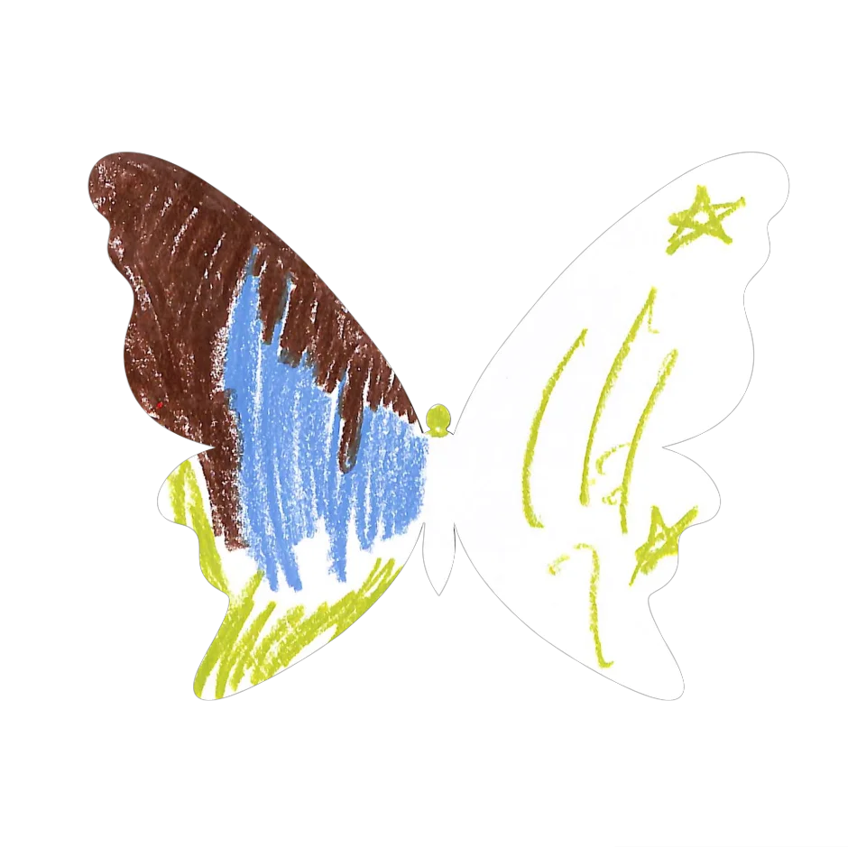 Original Butterfly Image