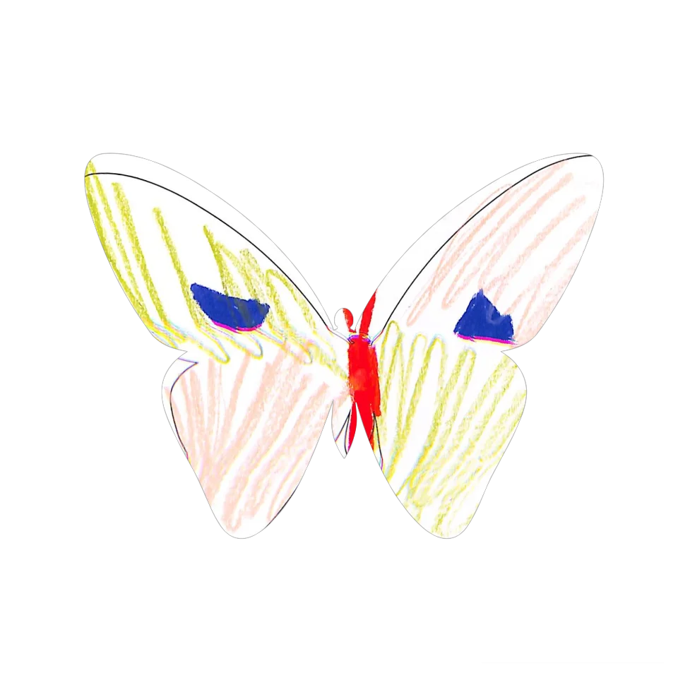 Original Butterfly Image