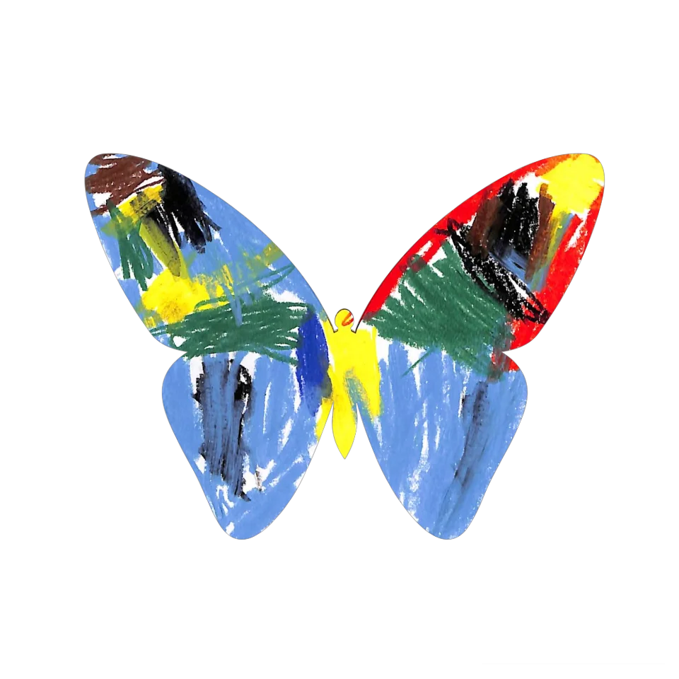 Original Butterfly Image