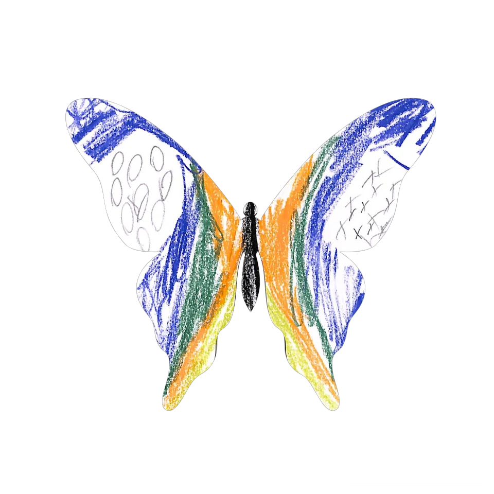 Original Butterfly Image