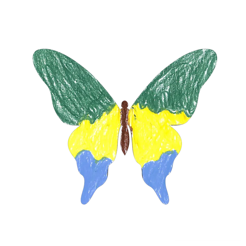 Original Butterfly Image