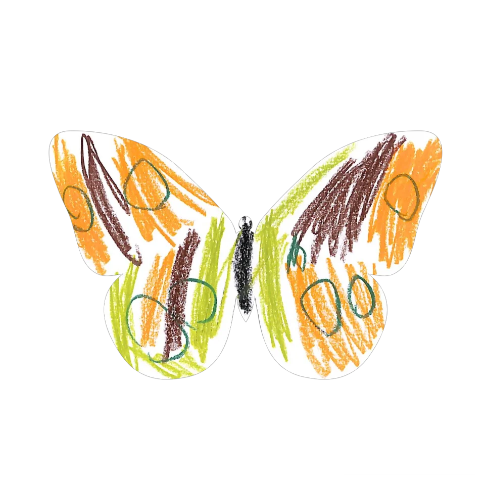 Original Butterfly Image
