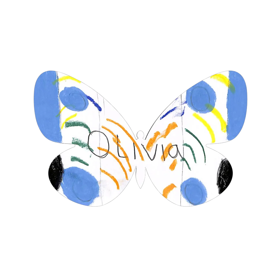 Original Butterfly Image