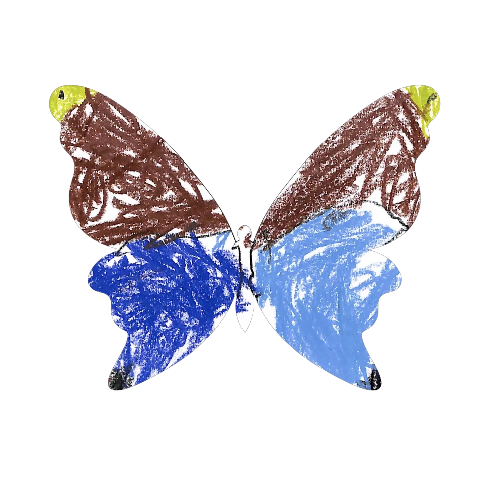 Original Butterfly Image