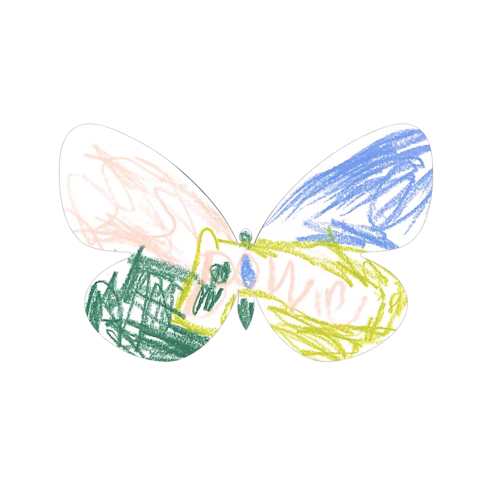 Original Butterfly Image