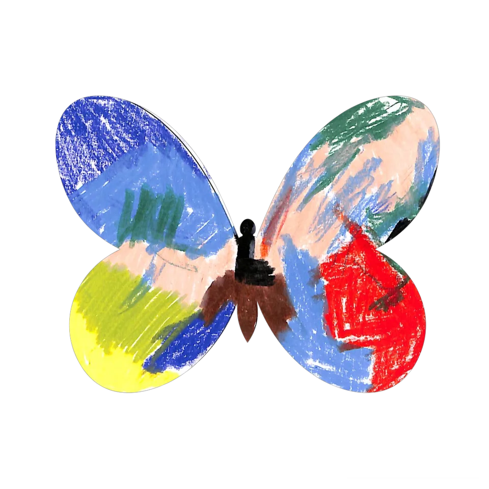 Original Butterfly Image