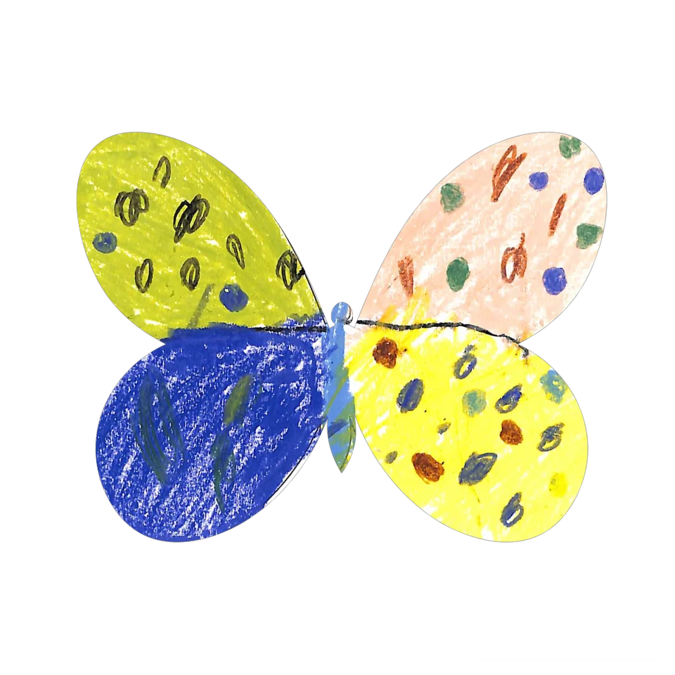 Original Butterfly Image