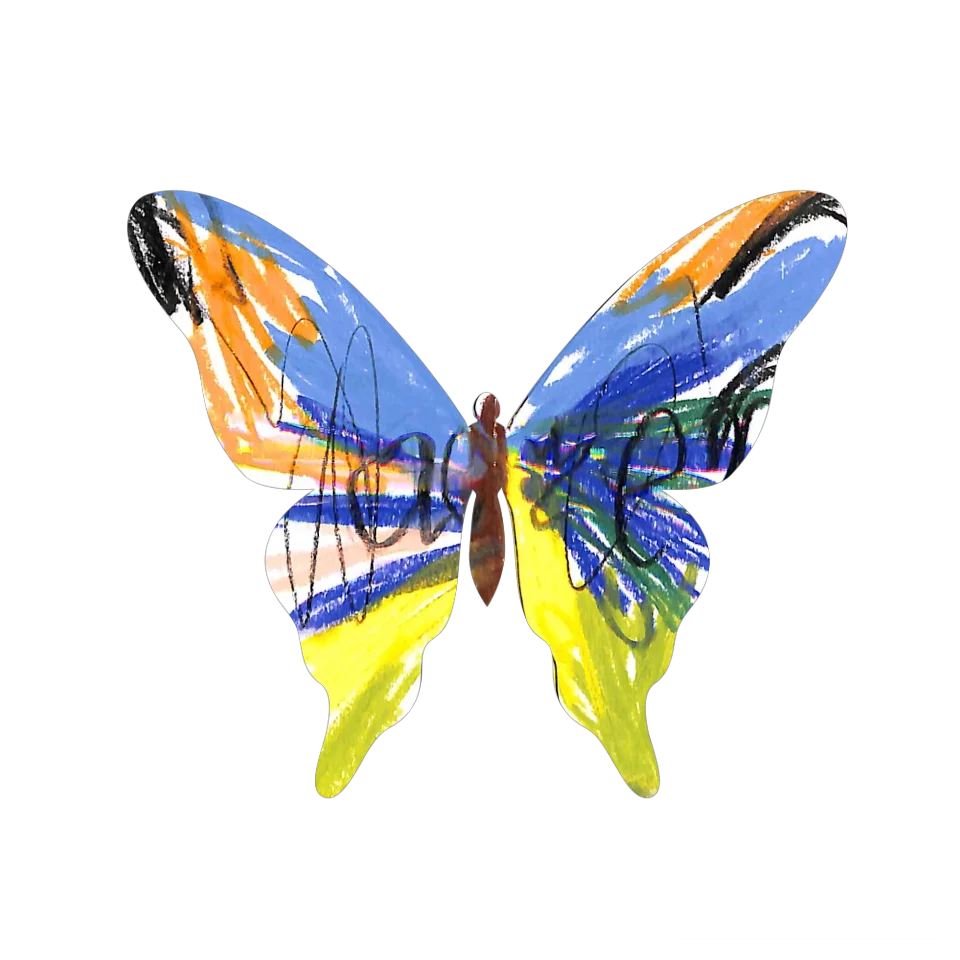Original Butterfly Image