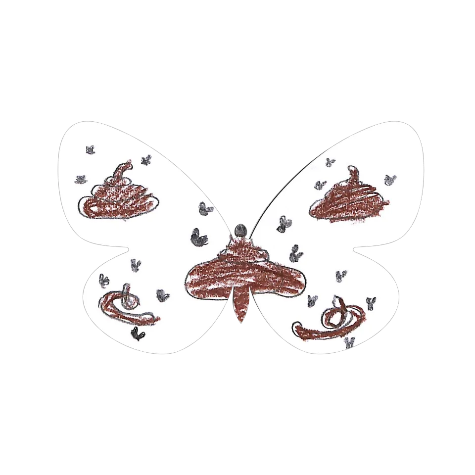 Original Butterfly Image