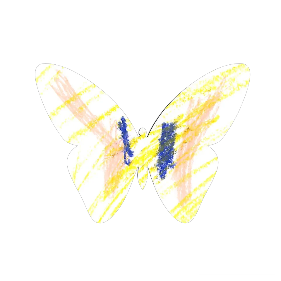 Original Butterfly Image