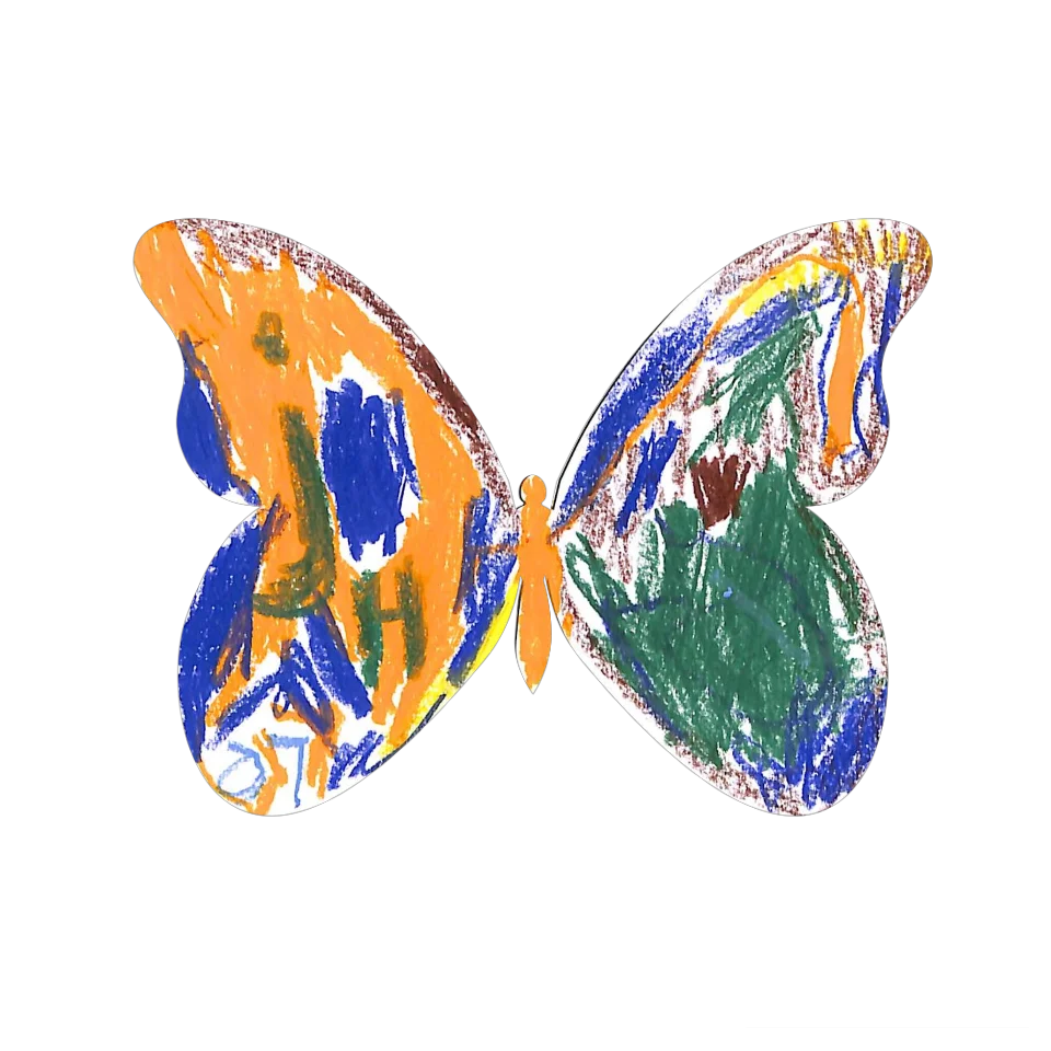 Original Butterfly Image