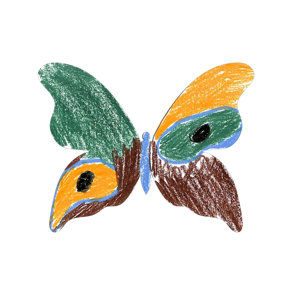Original Butterfly Image