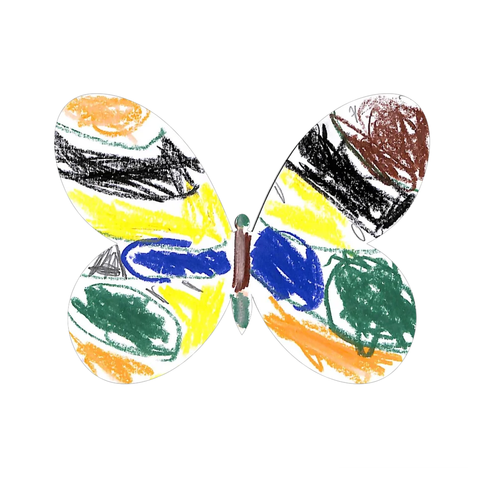 Original Butterfly Image