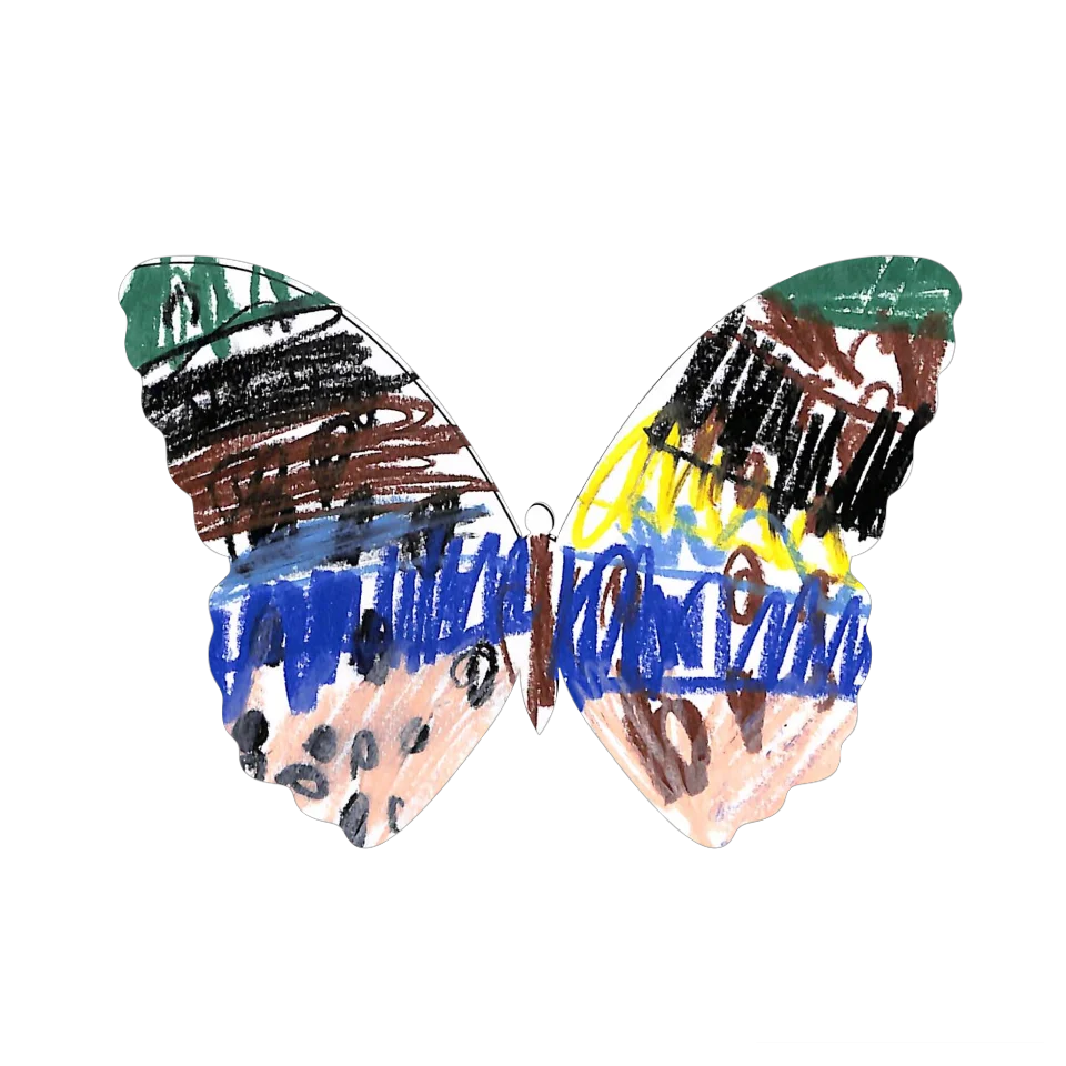 Original Butterfly Image
