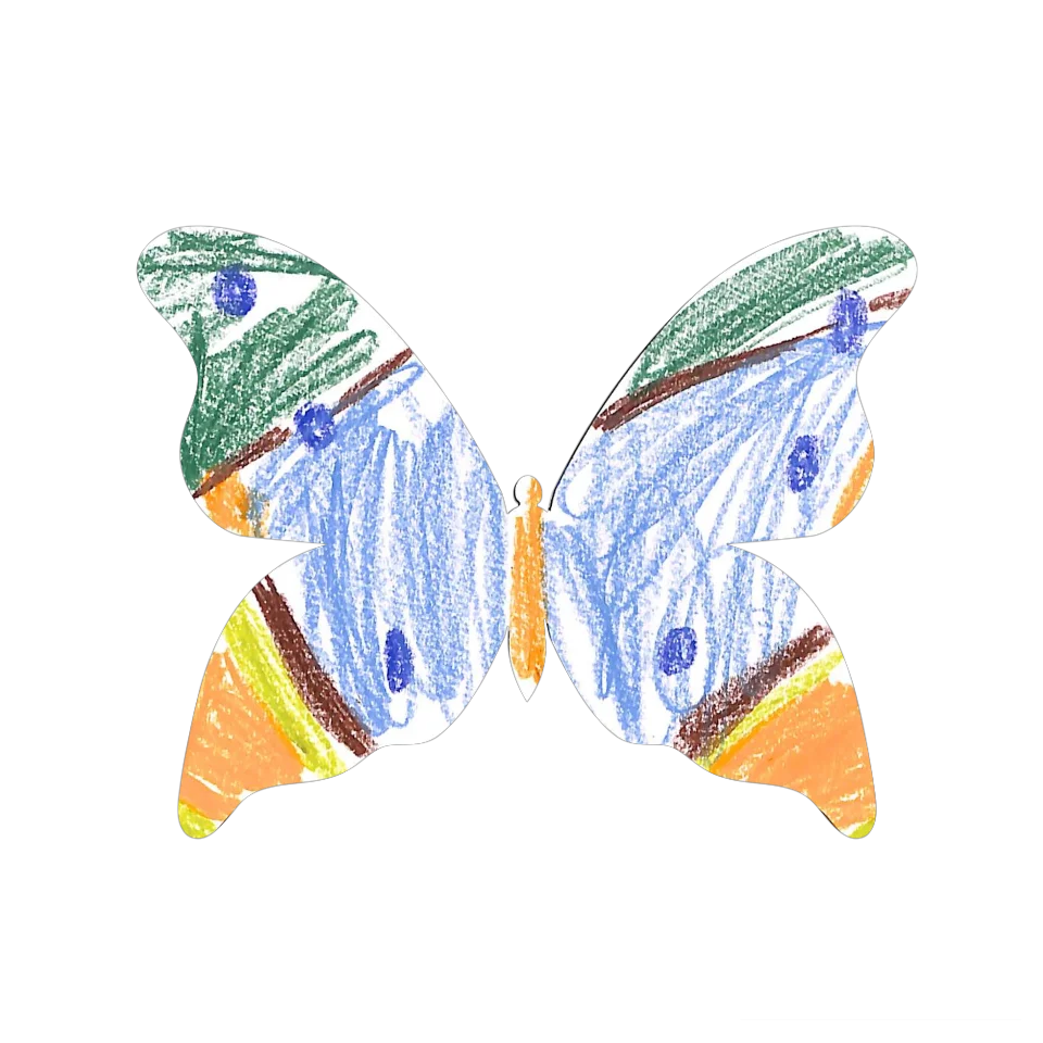 Original Butterfly Image