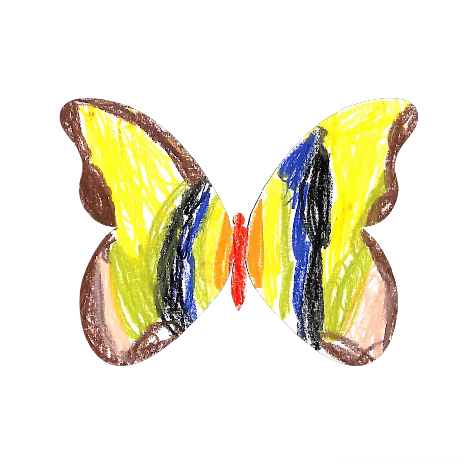 Original Butterfly Image