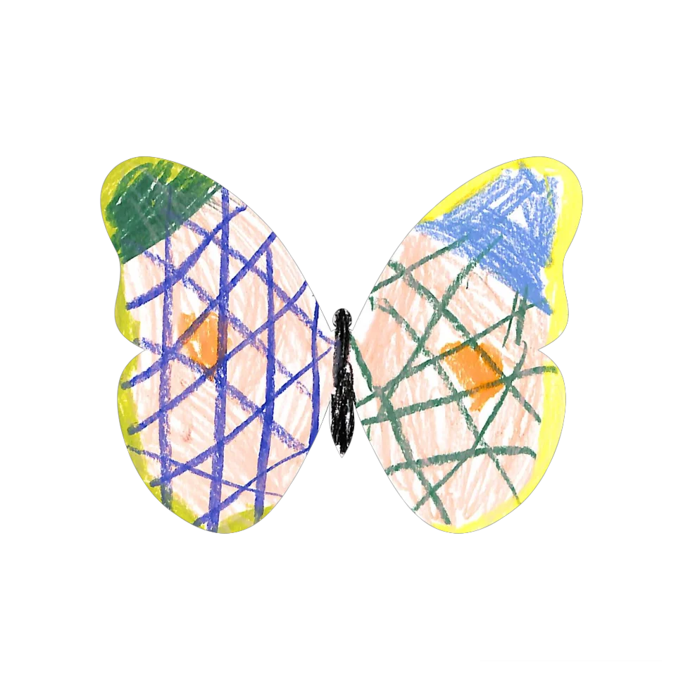 Original Butterfly Image