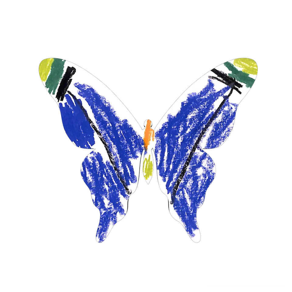Original Butterfly Image