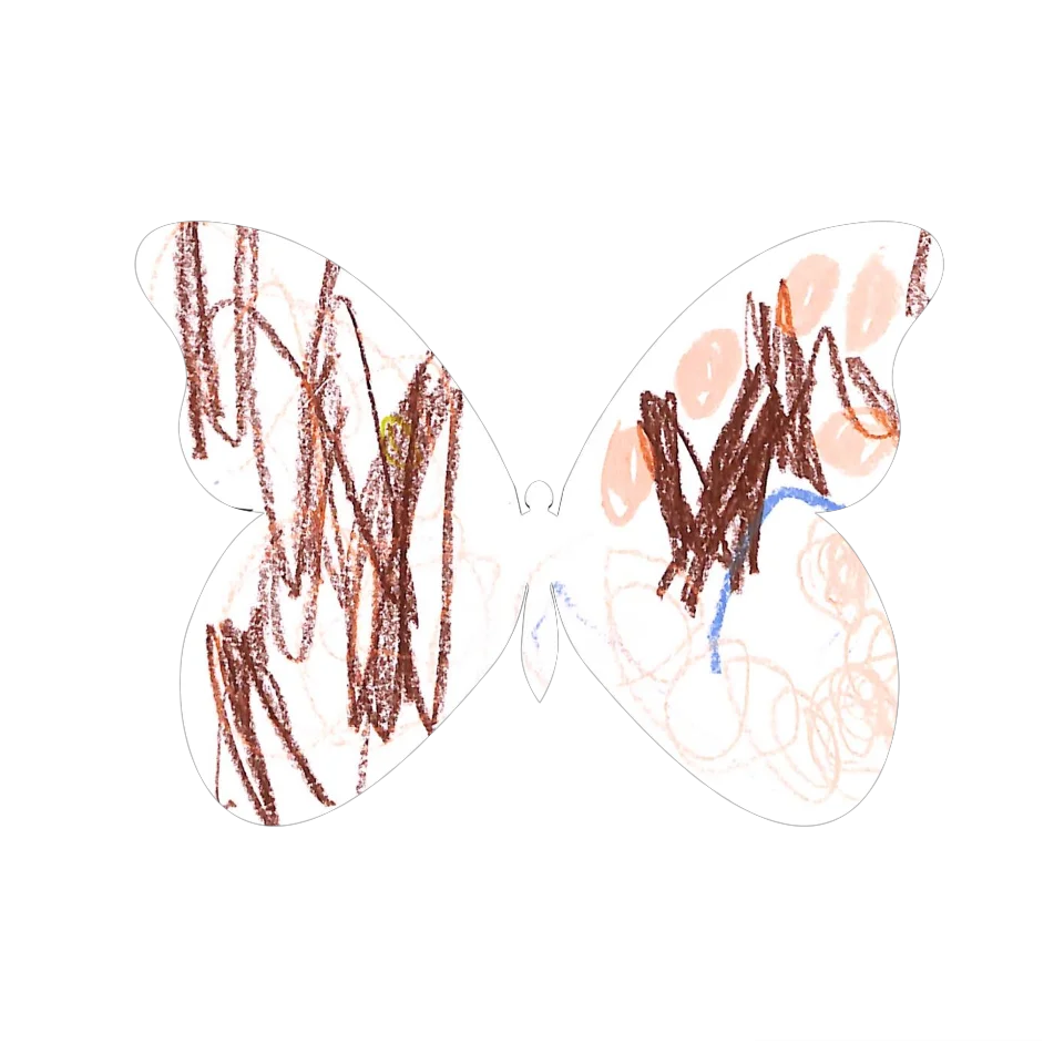 Original Butterfly Image