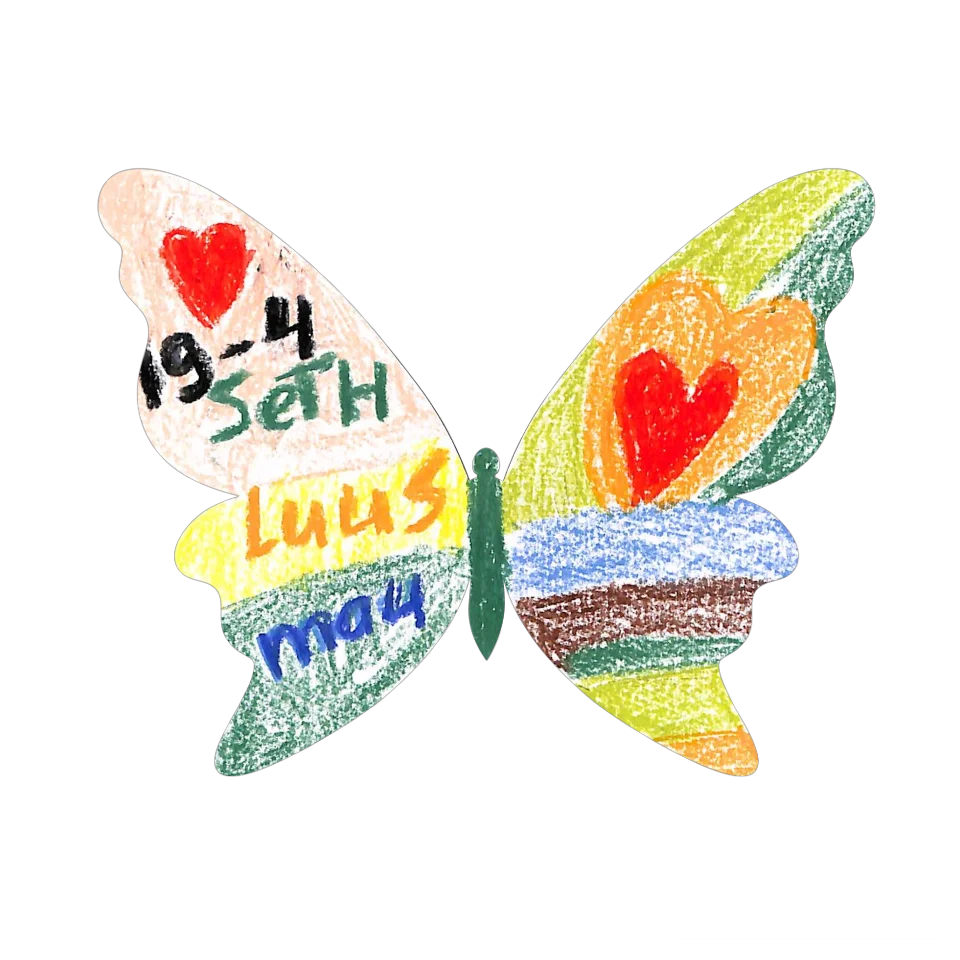 Original Butterfly Image