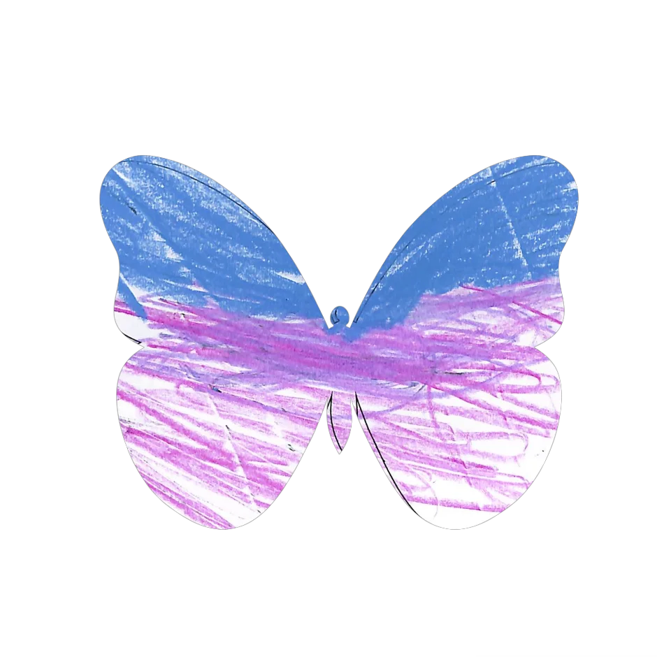Original Butterfly Image