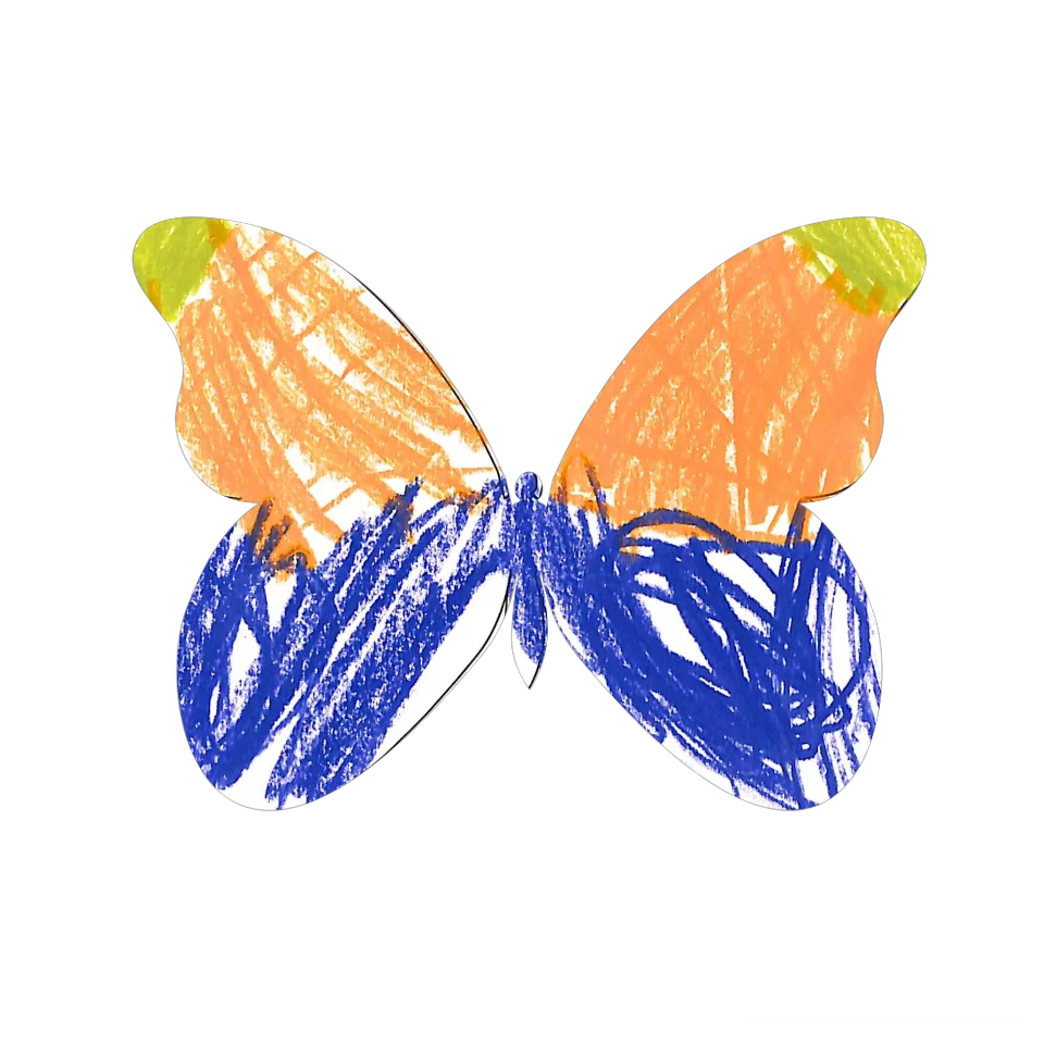 Original Butterfly Image