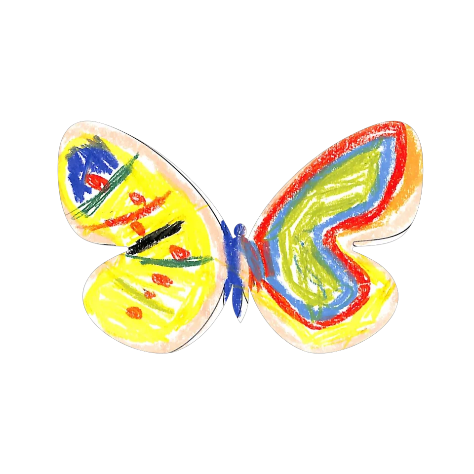 Original Butterfly Image