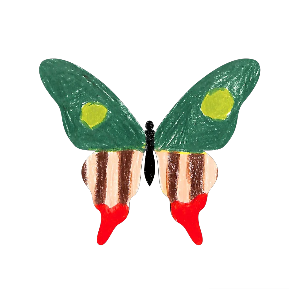 Original Butterfly Image
