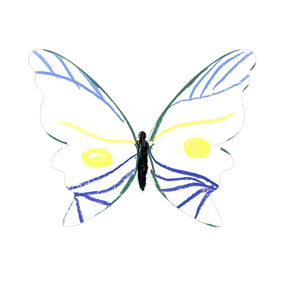Original Butterfly Image