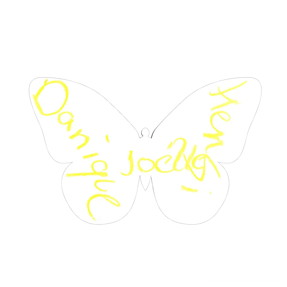 Original Butterfly Image