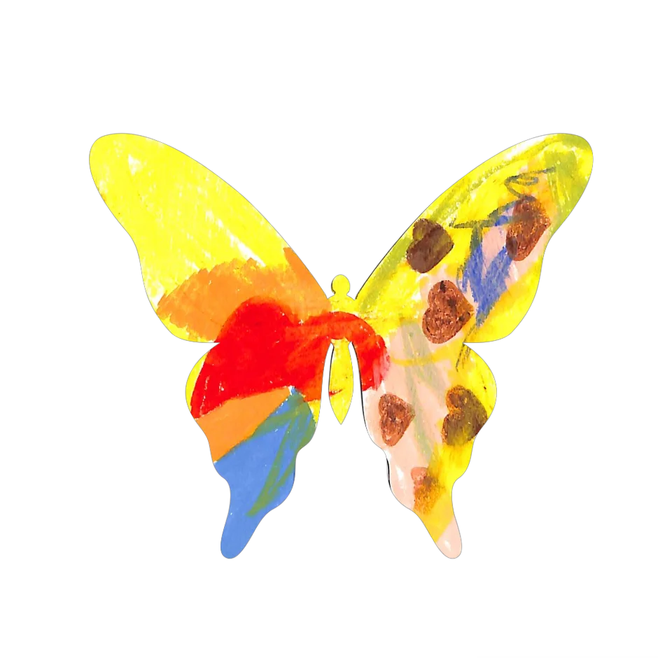 Original Butterfly Image