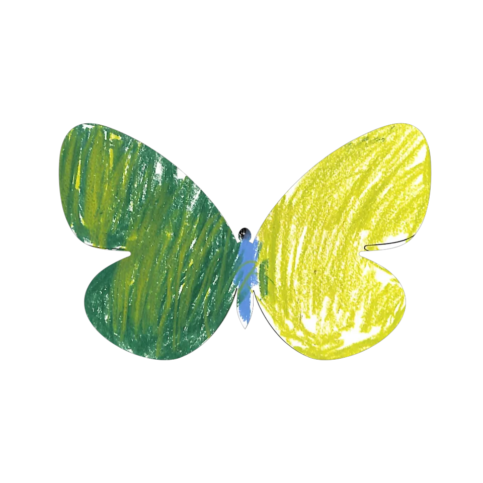 Original Butterfly Image